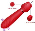 10 Modlu Titreşimli Göğüs Klipsi ve Rose Vibratör Seti - Görsel 2